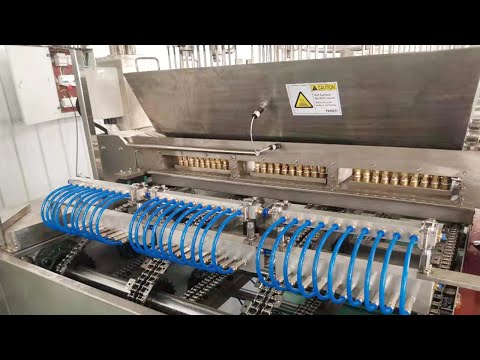 , title : 'GDQ300 gummy bear machine testing video before shipping to Europe, how vitamin gummies are made