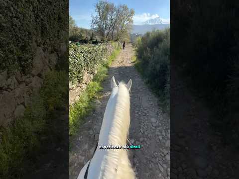 Passeggiata a cavallo sull'Etna