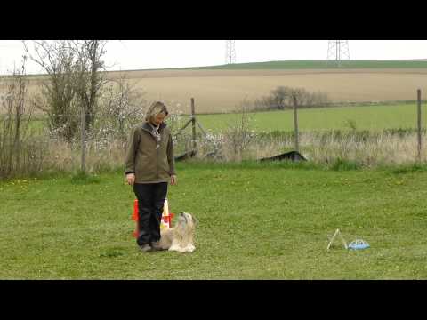 Kerstin 3. Parcors RAlly GAu-Heppenheim