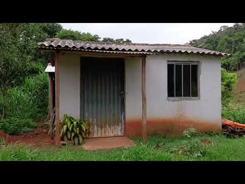 Direto da Roça em Guaraciaba MG.