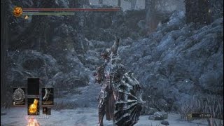 DARK SOULS™ III_DRAGON SLAYER! Walkthrough part 18!