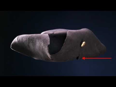 Vem sköt Karl XII ?