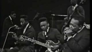 Muddy Waters - You Can&#39;t Lose What You Never Had