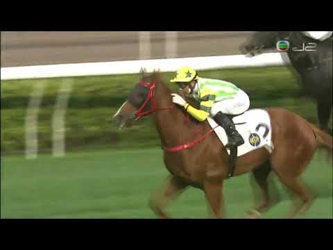 2021/22 (519) - Blaze Warrior (風火戰駒) - 莫雷拉與練馬師蔡約翰賽日中三元 (重申再做跑返短途輕鬆贏馬)