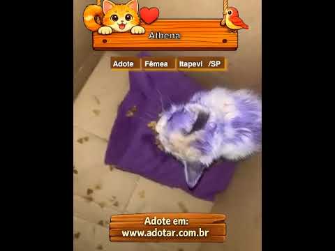 Vídeo de Athena