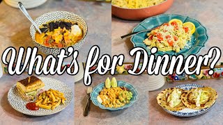DELICIOUS & EASY BUDGET Friendly Family Meal Ideas | What’s for Dinner | January 2024
