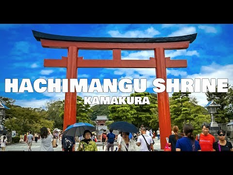 download lagu mp3 mp4 Tsurugaoka Hachimangu, download lagu Tsurugaoka Hachimangu gratis, unduh video klip Tsurugaoka Hachimangu