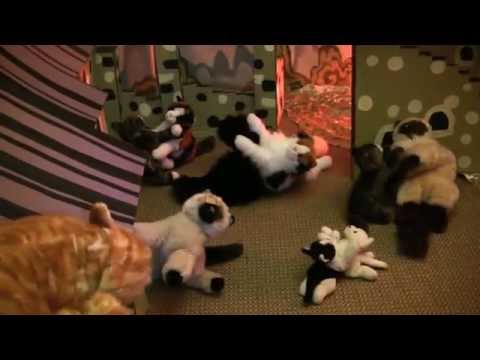 Kung Fu Kitty DVD Part 5