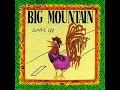 Big Mountain    Peaceful Revolution   1992