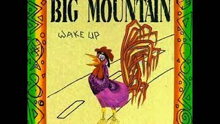 Big Mountain    Peaceful Revolution   1992