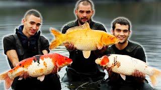 Netting a Lake FULL of BIG CARP!