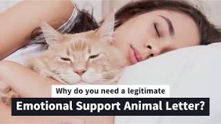Emotional Support Animal Letter - Learn About The Emotional Support Animal Letter 🐶