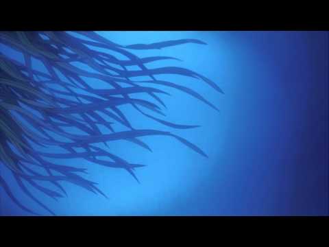 .komi - I decided to stop making organized music.