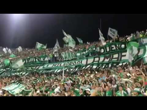 Verde mi buen amigo, esta campaña volveremos a estar contigo