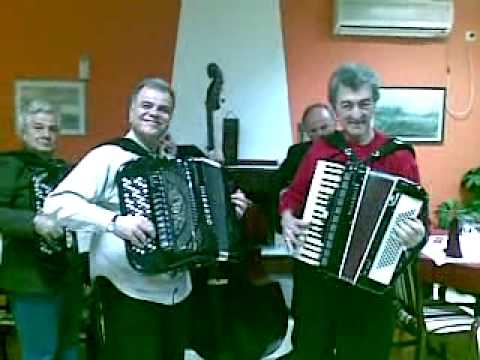 "Razgovor harmonika" (Dzumbus kolo Milije Spasojevica) uzivo