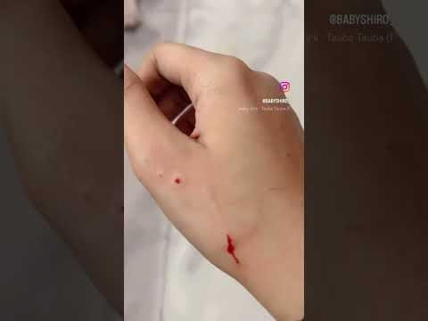 Shiro Baby turned into shiro badmash #shorts #goldenretriever #dog #doglover #dogs #youtubeshorts