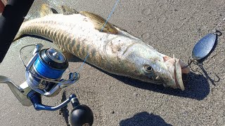 Download lagu Umpan Terbaik untuk Air Jernih Musim Dingin: Sendok Leo Kecil Warna Perak, Memancing di Sungai Ka... mp3