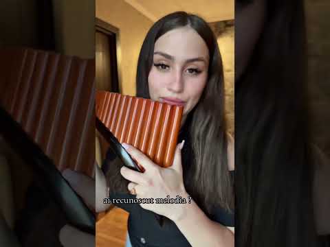 Noapte de vis - Dan Ciotoi