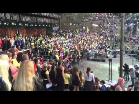 Uimane ja väsinud punklaulupidu 2015