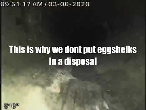 Never put eggshells in a disposal