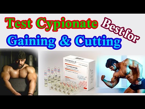 Anabolic Monster Test Cypo 300