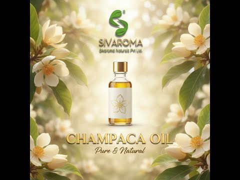 Champaca Essential Oil