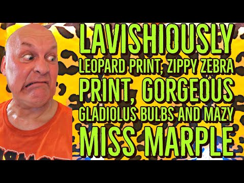 210408 Lavishiously Leopard printed and , zippy Zebra Printed Bath towels, Gorgeous Gladiolus bulbs