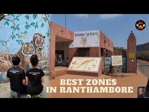 Best Zones in Ranthambore National Park for Tiger Sighting | Full Information for Jungle Safari