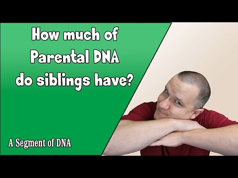 How Much DNA Do Siblings Get From Their Parents? | Genetic Genealogy Video