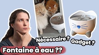 Je teste la fontaine à eau Pixi de Catit ! | Test & Avis