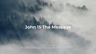 John 15, The Message