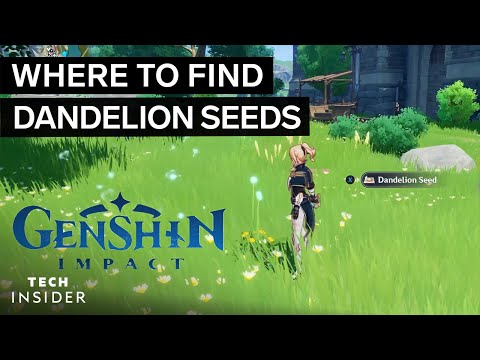 在哪裡可以找到蒲公英種子的元神影響 | 技術內幕 (Where To Find Dandelion Seeds In Genshin Impact | Tech Insider)