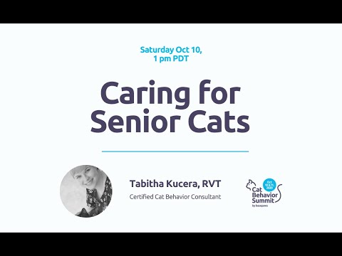 Friends For Life, Caring For Senior Cats [Cat Behavior Summit 2020]