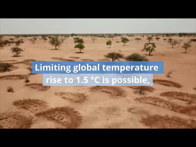 Impacts of Global Warming