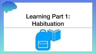 What is Habituation? How We Learn