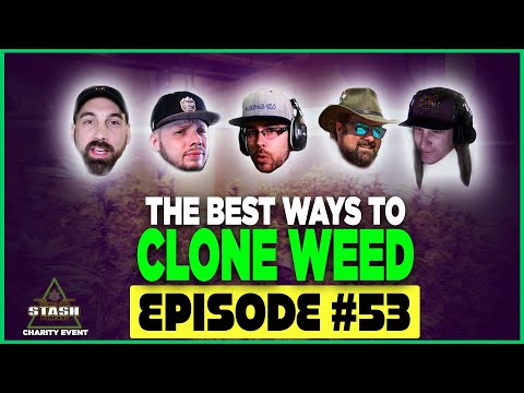 Best Techniques to Clone Weed wsg/ Dawgo The Hutt & VaderOG - From the Stash Podcast Ep. 53