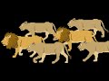 Groups Of Animals Collective Nouns For Animals The Kids Picture Show