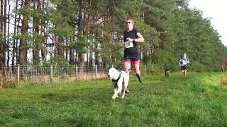 preview picture of video 'Cani-Sports Edinburgh 2014 Race - Foxlake, Dunbar'