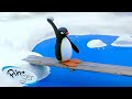 Pingu Seeks Revenge Pingu Official Channel Cartoons For Kids