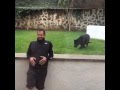 Watch this black panther pounce at his owner! | itimes
