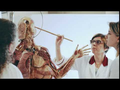 Pieslēdzies panākumiem! Nāc studēt Latvijas Universitātē!