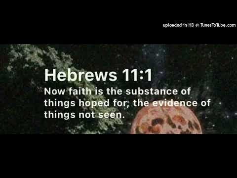 Jamie X In God I Trust