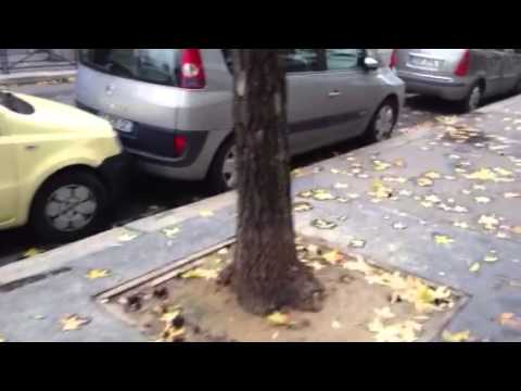 Parking in Paris is awkward!