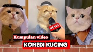 Download lagu 𝗞𝗢𝗠𝗣𝗜𝗟𝗔𝗦𝗜 𝗩𝗜𝗗𝗘𝗢 𝗞𝗨𝗖𝗜𝗡𝗚 𝗟𝗨𝗖𝗨 𝗕𝗜𝗞𝗜𝗡 𝗞𝗘𝗧𝗔𝗪𝗔 𝗡𝗚𝗔𝗞𝗔𝗞 mp3