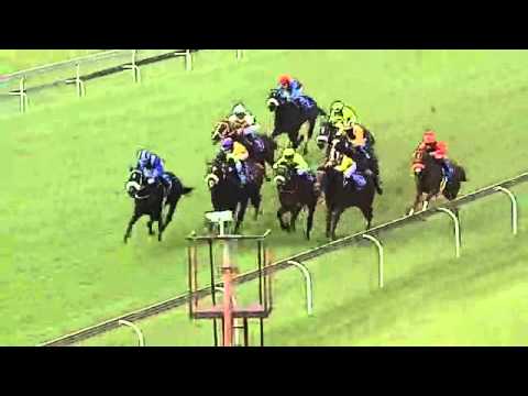 2015.04.25 SA Fillies Nursery - Entisaar