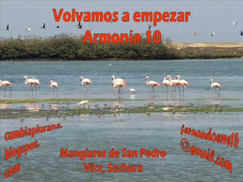 Volvamos a empezar - Armonía 10