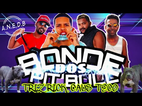 🔴 MC Triz Do Grau, MC Caus, MC Teco FT. MC Rick - Bonde Dos Pit Bull ( A.N.E.D.B )