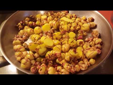 Oca Harvest 2017