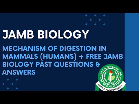 JAMB Biology 2025 EP 71 - Mechanism of Digestion in Mammals (Humans) + Free JAMB Biology PQ's