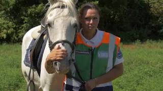 A parlagfű lovas felderítése (hosszú változat)